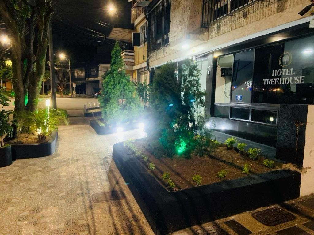 Hotel Tree House メデジン エクステリア 写真